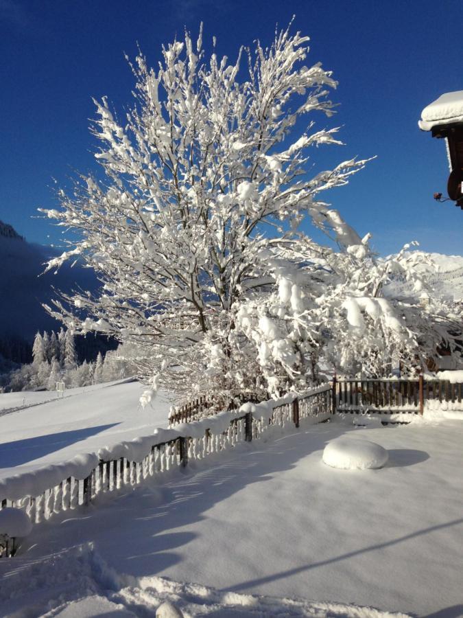 Casa Schuoler Apartment Disentis Exterior photo